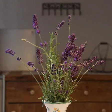 Ferienhaus Troeglesalm *