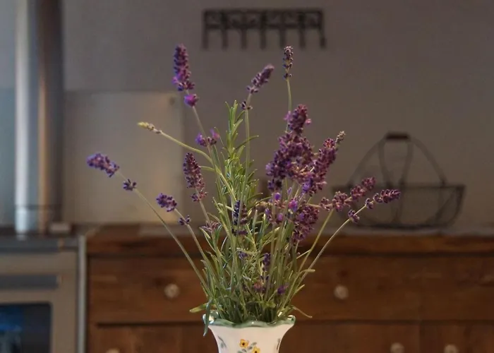 Ferienhaus Troeglesalm *